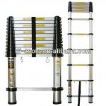 aluminium telescopic ladder-DFF-2