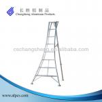 Decoration Step Ladder, Decorative Ladder, Adjustable Step Ladder-AD120