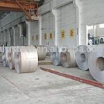 Hot-dip Galvanized-0.12-1.5mm*1250mm or under