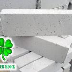 foamed concrete blocks-10X20X60