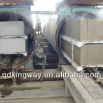 autoclaved aerated concrete manufacturers-TY005