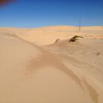 Natural Australian Beach Sand-059