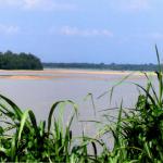 Perak River Sand-