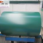 color steel coil-PPGI