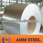 Stainless Steel Coil/Plate/Sheet-