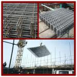 high quality reinforcing mesh (anping factory)-TS-CR1