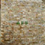 Freshwater Shell Wall Tile/Shell Mosaic Tile-JP-C431