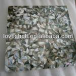 Shell mosaic-