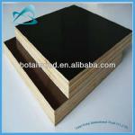 phenolic glue board for construction used-BTFF-0057