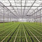PC hollow sheet for Breeding greenhouse-