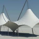 Tension fabric structure-