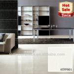 Pilates Polished Glazed Porcelain Floor Tile-6TPP001