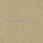 Rough Glazed Porcelain Floor Tile (600*600)-6VJZ061