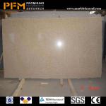 Top grade granite,granite tile, granite slab for facotry-PFM-1354