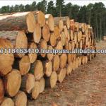Pine Logs-