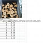 Gmelina Round Logs : Origin Ghana-Gmelina