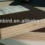 Okoume/Bintangor/Keruing/pencil ceder veneer faced commercial plywood,furniture grade plywood-Fiberwood