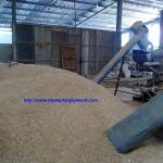 WOOD SAWDUST-TP 009