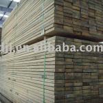 High Quality ACQ timber from China-