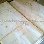 VIET NAM CORE VENEER-TP 002