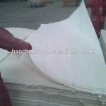 Rotary Cut Bleached Poplar Veneer for Plywood and Furniture-Bleached Poplar Veneer-1