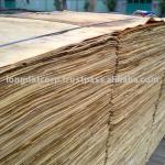 Eucalyptus Veneer-LD_2011_MCV02