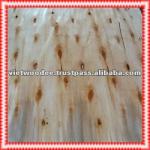 Vietnam Eucalyptus core Veneers-VW07