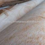 Eucalyptus Core veneer from Vietnam-