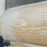 pine crown cut veneer /all kind or wood veneer /different kinds veneer for didifferent usage-130831-7