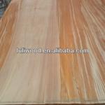 Natural Veneer- Agathis dammara with Good Quality-1220*2440