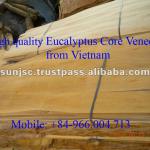 HIGH QUALITY EUCALYPTUS CORE VENEER FROM VIETNAM-84 9 6600 4713