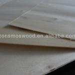 Good quality Sliced Cut Natural Poplar Veneer from Linyi-840mm,640mm,