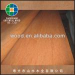 wood veneer-veneer 02