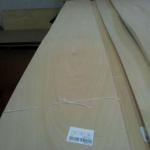 beech veneer,red oak,sapelli,ash-wood veneer