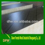 high quality construction plywood-