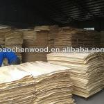 Poplar Core Veneer 1270x840 for Egypt Market!-1270X840MM