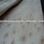 Good price Eucalyptus core veneer-CXV