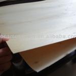 poplar veneer/Nature Wood Veneer/Rotary cutting poplar-840mm,640mm,