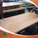 high quality Beech Veneer-1220mm*2440mm