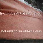 bintangor veneer of B grade thickness 0.3mm-BTD62