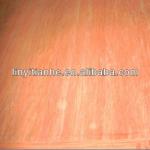 0.30mm bintangor veneer rotary cut-V-3