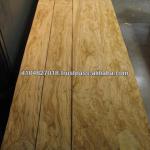 Italian Olivewood Veneer-