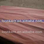 red hardwood veneer for plywood making-hardwood veneer