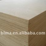 Good quality and low price packing plywood-1220*2440mm