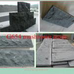 G654 stone mushroom(own quarry)-YP-GT-005