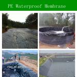 PE Waterproof Membrane, waterproofing membrane, impermeable membrane-