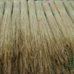 water reed for thatching roof-YS WR 19