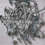 with high quality and competitive price Galvanized umbrella roofing nails-8G-13G