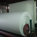 Malthoid base cloth of polyester-140-220g