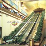 35 Degree Automatic Mechanical Indoor Escalator JF-003